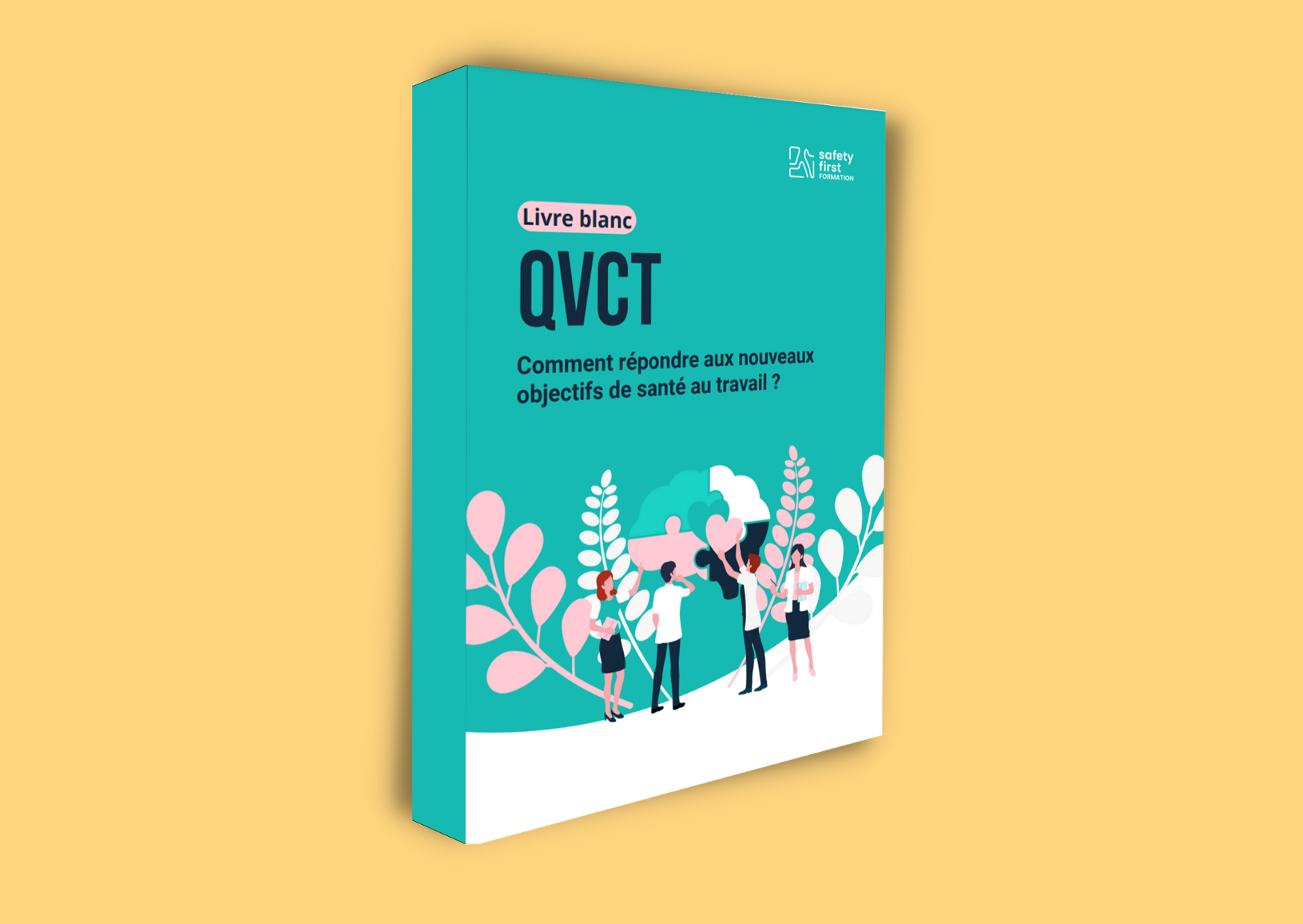 livre-blanc-qvct